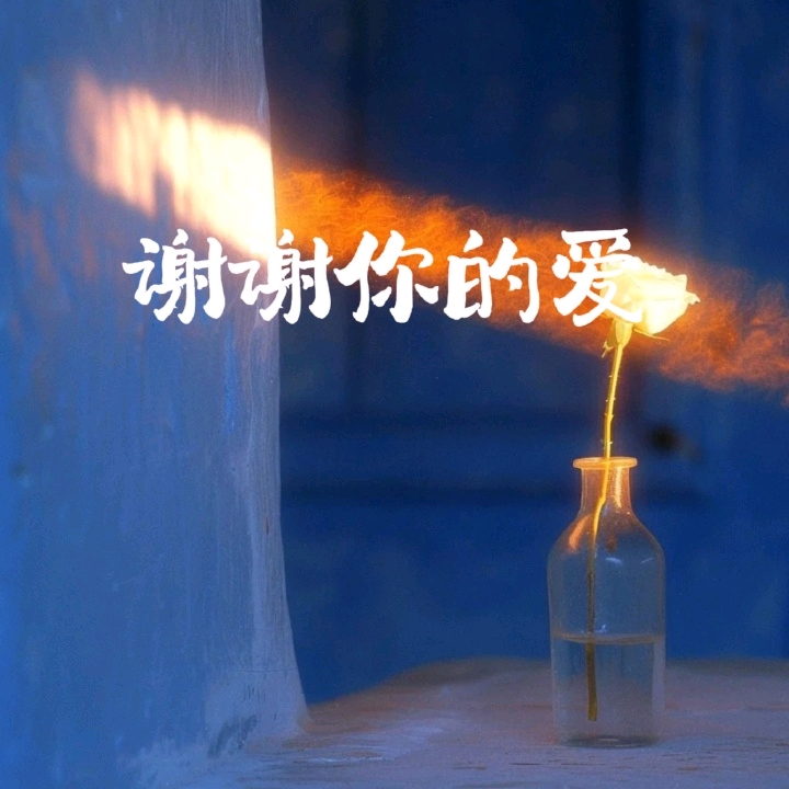 谢谢你的爱-禾月