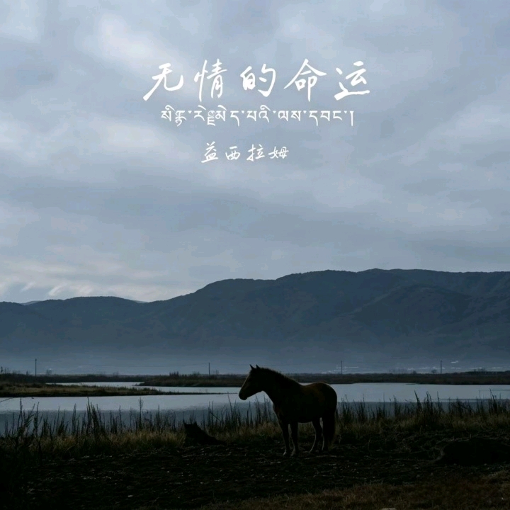 无情的命运 (སྙིང་རྗེ་མེད་པའི་ལས་དབང་།)