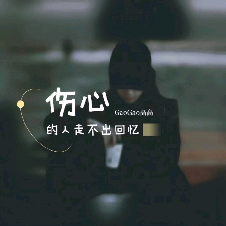 伤心的人走不出回忆 - 高高